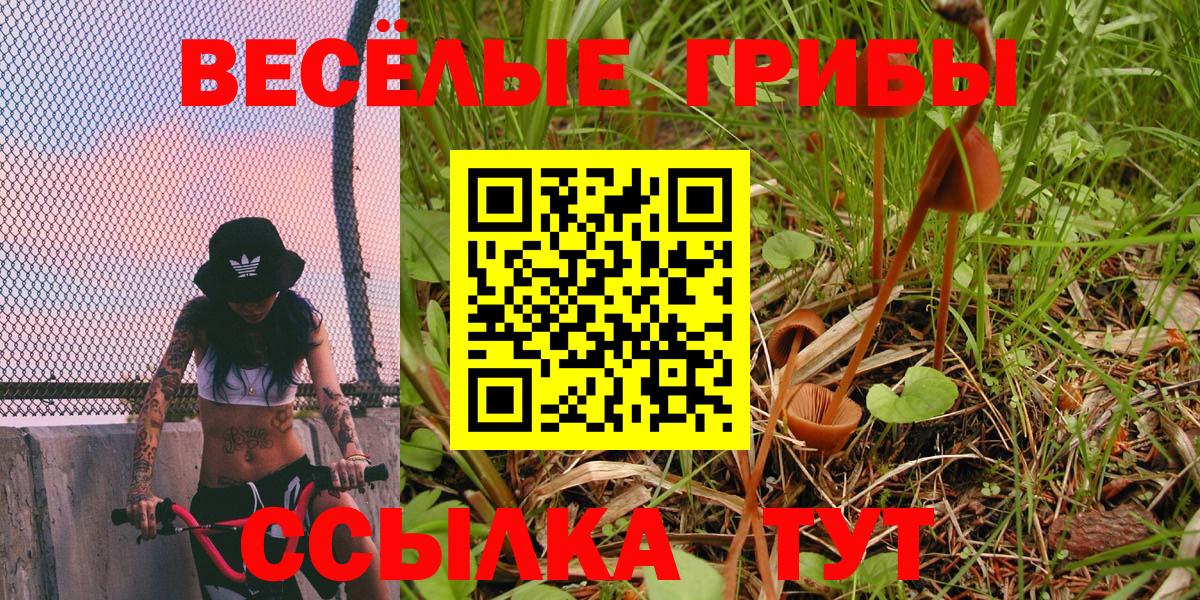 Галлюциногенные грибы GOLDEN TEACHER  Псилоцибиновые грибы MAGIC MUSHROOMS  Вход с VPN  Нурлат 